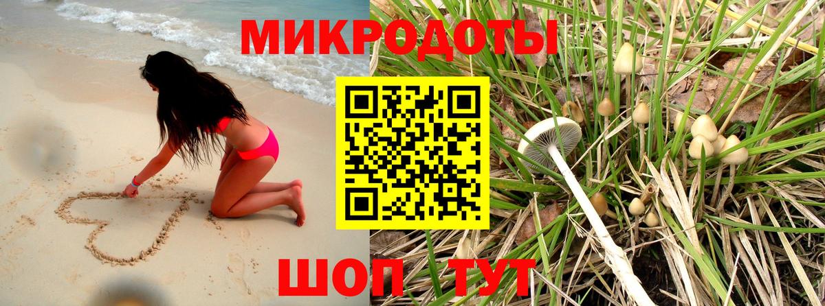 Псилоцибиновые грибы MAGIC MUSHROOMS  Псилоцибиновые грибы мицелий  купить закладку  Вход с VPN  Черкесск 