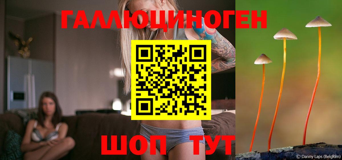 Псилоцибиновые грибы мухоморы Черкесск